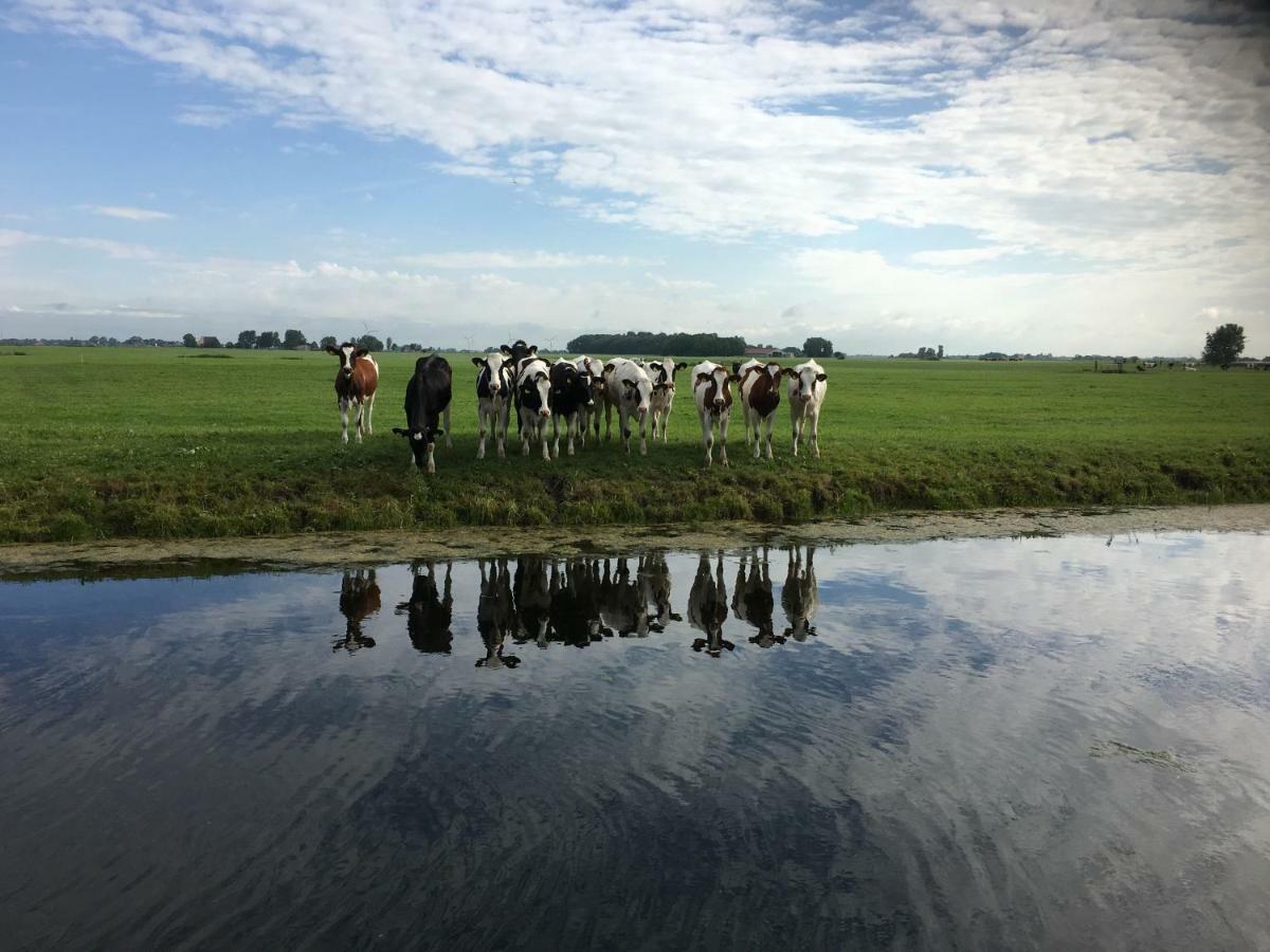 Vakantiehuis Het Voorhuis Op Landgoed Koepeltjesplaats Gaast Екстер'єр фото