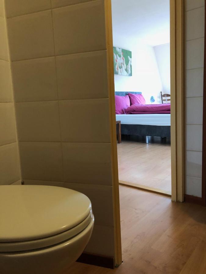 Vakantiehuis Het Voorhuis Op Landgoed Koepeltjesplaats Gaast Екстер'єр фото